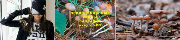 наркотики Алексеевка